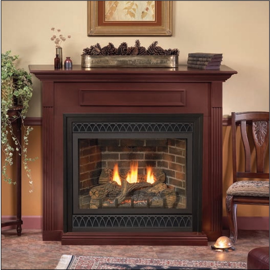 EmpireTahoeDeluxeDirectVentGasFireplace48inch1