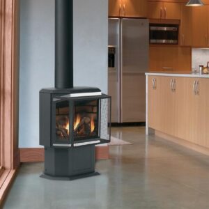 Iron Strike Epic Freestanding Direct Vent Gas Stove