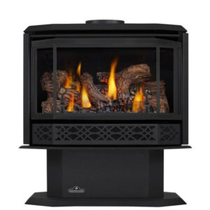 Napoleon 28 Inch Havelock Freestanding Direct Vent Gas Stove