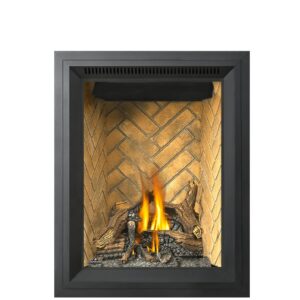 Napoleon 28 Inch Park Avenue Direct Vent Gas Fireplace