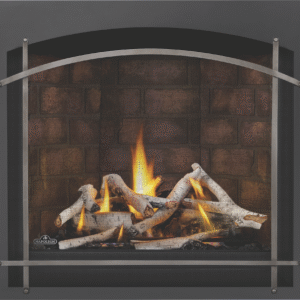 Napoleon 39 Inch Elevation X 36 indoor Direct Vent natural Gas Fireplace