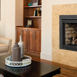 Napoleon 42 Inch Ascent X 42 Direct Vent Traditional Style Gas Fireplace