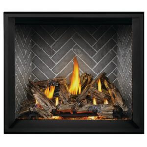 Napoleon 45 Inch Elevation X 42 Modern Indoor Direct Vent Gas Fireplace