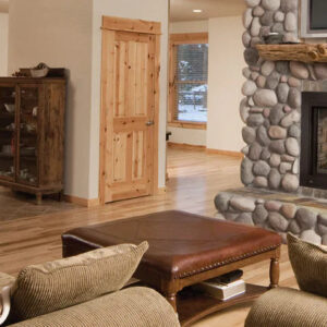 Napoleon Ascent Multi-View See-Thru 45 Inch Direct Vent Gas Fireplace