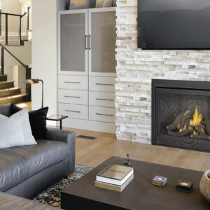 Napoleon D42 Ascent Deep Series Standard Safety Barrier 42 Inch Direct Vent Gas Fireplace