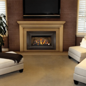 Napoleon Inspiration Traditional Style Zero Clearance Direct Vent Gas Fireplace