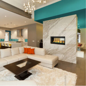 Napoleon Vector Modern Indoor 38 Inch See Through Direct Vent Gas Fireplace