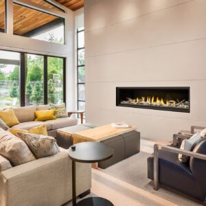 Napoleon Vector Series Dual-sided 74 Inch See-through Gas Fireplace