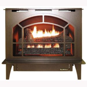 Buck Stove Townsend II Vent Free Stainless Steel Gas Stove