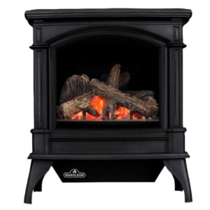 Napoleon 27 Inch Knightsbridge Freestanding Direct Vent Cast Iron Gas Stove