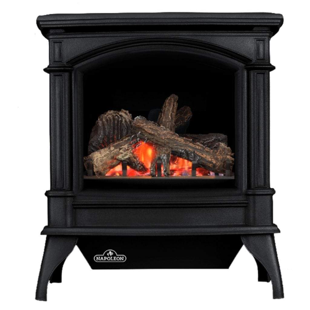 metallic-black-napoleon-27-knightsbridge-direct-vent-cast-iron-gas-stove-gds60-1nsb-28671872073898_2048x_d631c408-9c6f-40eb-baf1-526a9dba5f02 Napoleon 27 Inch Knightsbridge Freestanding Direct Vent Cast Iron Gas Stove