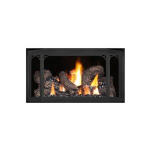 Napoleon | Decorative Doors for Havlock Direct Vent Gas Stove