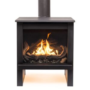 True North 25 inch Direct Vent Freestanding Gas Stove TN24